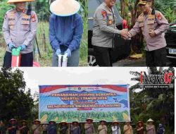 Dukung Swasembada Jagung Nasional, Kapolres Maros Dampingi Kapolda Sulsel Tanam Jagung di Tompobulu