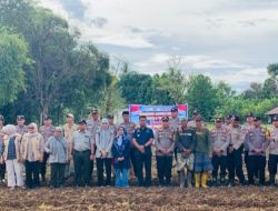 Dukung Swasembada Pangan, Polsek LAU bersama Camat Maros Baru Gelar Penanaman Jagung Serentak Kuartal II 2026